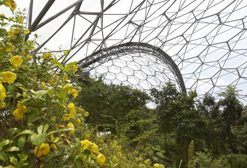 Inside the Eden Project's Rainforest Biome